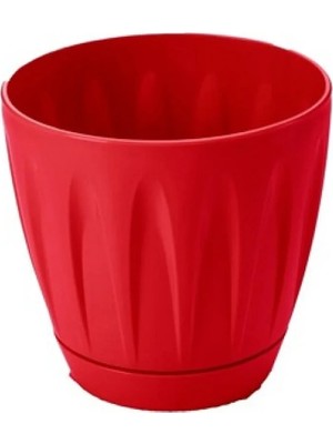 İlk El Grup Papatya Saksı 3 Litre -P003
