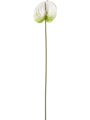 IKEA Modern Beyaz Yapay Çiçek 66 cm - Dekoratif Ev Bahçe Ofis Süs Bitki - Gerçekçi Doğal Görünüm - Bakım Gerektirmez