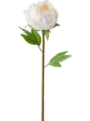IKEA Modern Beyaz Yapay Çiçek 30 cm - Dekoratif Ev Bahçe Ofis Süs Bitki - Gerçekçi Doğal Görünüm - Bakım Gerektirmez