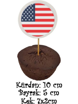 Tasarı Mağazası 10 Adet Dekoratif Amerika Bayrağı Baskılı Kürdan 6,5 cm