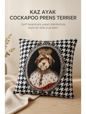 Kaz Ayak Cockapoo Prens Terrier