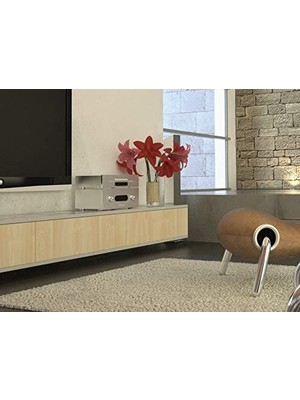 D-C-Fix 346-0219-4PK Dekoratif Kendinden Yapışkanlı Film, Akçaağaç Ahşap, 43 cm x 198 cm Rulo, 4'lü Paket