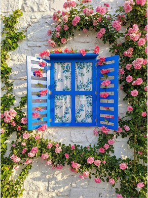 Empressco El Boyaması Dekoratif Ahşap Panjurlu PENCERE,PERDELI,100×70CM Yer Kaplar