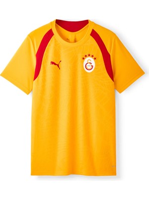 GS Galatasaray Puma Antrenman T-Shirt 78680507