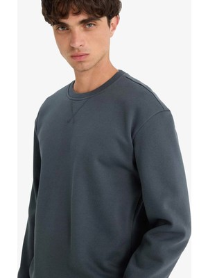 DeFacto Regular Fit Bisiklet Yaka Kalın Basic Düz Sweatshirt T3777AZ25AU