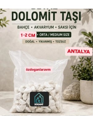 Dogant Beyaz Dolomit Taş 2 kg 1-2 cm Dere Çakıl Taşı