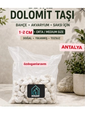 Dogant Dolomit Saksı Dekor Süs Taşı Beyaz  2 kg