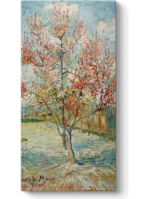 Pembe Şeftali Ağaçları Tablosu 70 x 70