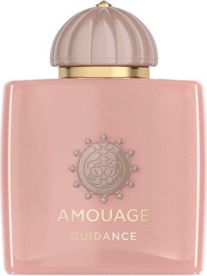 Amouage Guidance Edp 100ML Unisex Parfum
