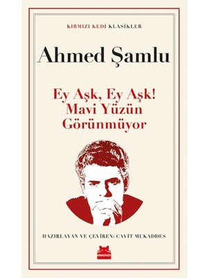 Kuzgun Ticaret Ey Aşk, Ey Aşk! Mavi Yüzün Görünmüyor