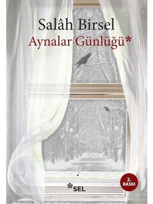 Aynalar Günlüğü