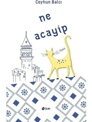 Ne Acayip