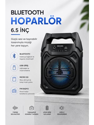 Mikrofonlu Bluetooth Ses Sistemli Usb, Micro Sd, Fm ve Uzun Pil Ömrü - Lisinya