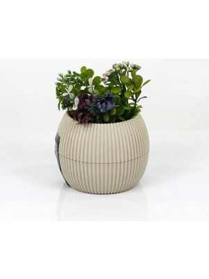 Kuzgun Ticaret Mercan Saksı 11.5X12 cm 0.70 Lt