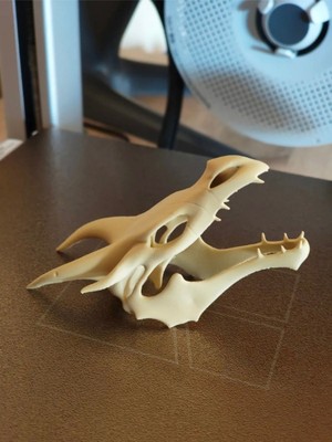 Belirtilmemiş Skyrim Ejderha Kafatası (Dekoratif Ürün)