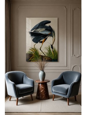 Bu Matbaa John James Audubon Büyük Mavi Balıkçıl Kuş Illüstrasyonu Dekoratif Temperli Cam Tablo