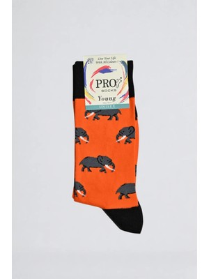 Pro Safari Unisex Pamuklu Çorap 12'li Renkli Desenli Günlük Çorap
