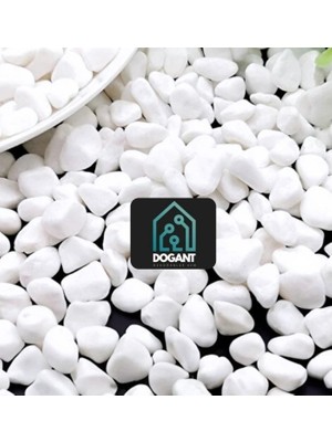 Dogant Beyaz Dolomit Taş 1 kg 1-2 cm Dere Çakıl Taşı Bahçe Peyzaj Süs Taşı Saksı Teraryum Akvaryum Taşı
