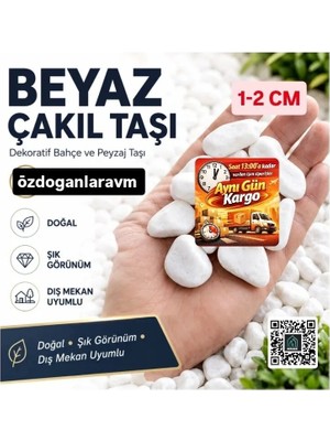 Dogant Beyaz Dolomit Taş 2 kg 1-2 cm Dere Çakıl Taşı Bahçe Peyzaj Süs Taşı Saksı Teraryum Akvaryum Taş