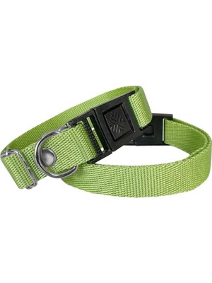 TeknoKapsül Köpek Tasması Dokuma 2 cm - Min: 30 cm - Max: 50 cm Yeşil