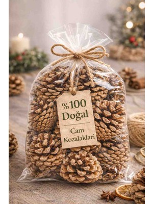 50 Adet Doğal Çam Kozalağı – Dekorasyon, Mangal ve Şömine Için Kozalak 🌲