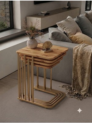 Eryalux Home 4'lü Tekerli Zigon Sehpa (Benj 19 Metal - Atlantik Çam )