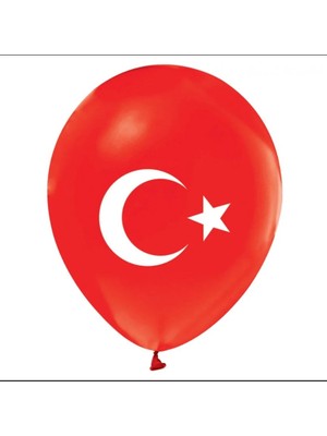Hsc Bilişim Çift Taraflı Bayraklı Balon