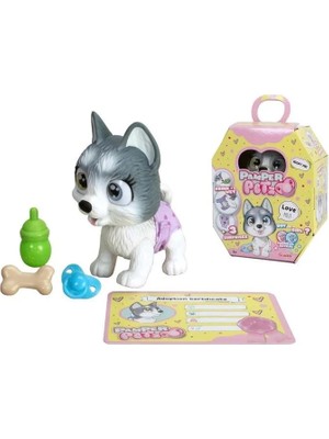 Hsc Bilişim Pamper Petz Husky