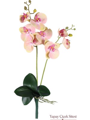 Yapay Çiçek Sitesi Yapay Islak Dokulu 2'li Orkide 55 cm Somon Pembe