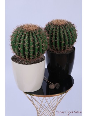 Yapay Çiçek Sitesi Plastik Saksıda 2li Mini Yapay Kaktüs Aranjmanı 45 cm