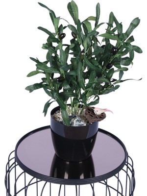 Yapay Çiçek Sitesi Siyah Plastik Saksıda Yapay Zeytin Ağacı 50 cm