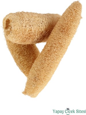 Yapay Çiçek Sitesi Kuru Çiçek Doğal Tropikal Luffa 17 cm 3lü