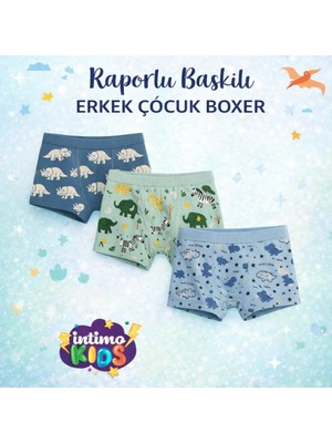 Lumina İntimo Erkek Çocuk Raporlu Desenli Boxer-Renkli-11.12 Yaş