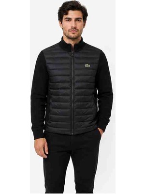 Lacoste Siyah Slim Fit Mevsimlik Mont