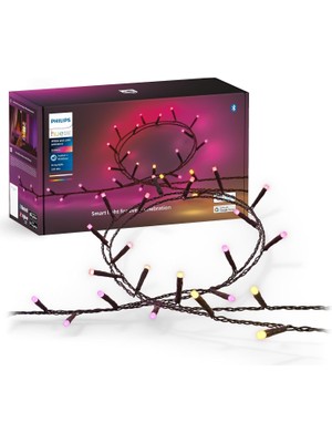 Philips Hue 929003674402 Akıllı Dış Mekan Peri Işığı - Spotify ile Işık Senkronu | Müziğin Ritmini