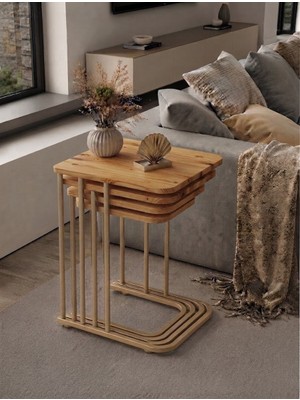 Eryalux Home 4'lütekerlekli Zigon Sehpa (Capppoccino-Çam)