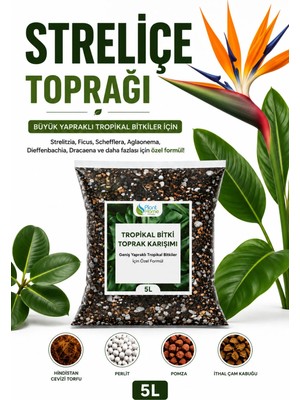 Plant-Home Straliçe (Cennet Kuşu Toprağı 5 L – Ficus, Schefflera, Aglaonema, Dieffenbachia, Dracaena ve Büyük Yapraklı Tropikal Bitkiler Için Premium Hazır Toprak Karışımı