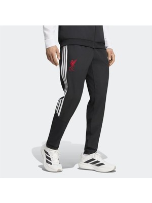 adidas Lfc Pre Pnt