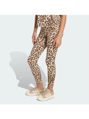 adidas Jg An Aop Leg