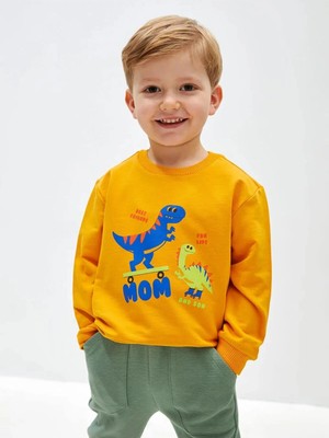 LC Waikiki Bisiklet Yaka Uzun Kollu Baskılı Erkek Bebek Sweatshirt