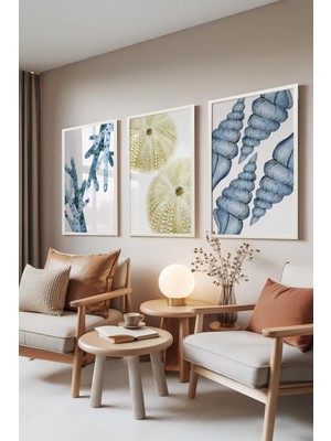1001 Beyaz Çerçeveli 3’lü Tablo Seti Deniz Koleksiyonu – Soft Mavi Yeşil Salon Set 30114, 10 x 15