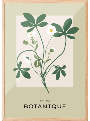 1001 Ahşap Çerçeveli Tablo Botanique Papatya Bitki Illüstrasyonu Mutfak Dekoru Poster 100778, 21 x 3