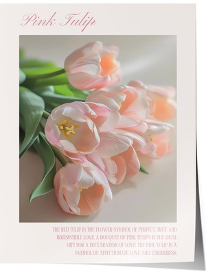 1001 Premium Poster Pembe Laleler Romantik Bahar Çiçekleri Yatak Odası Dekoru, 70 x 100