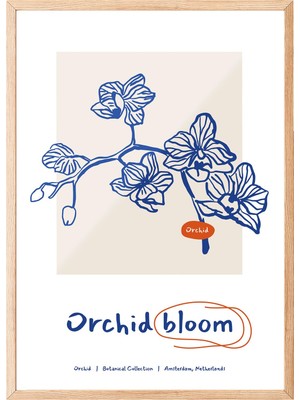 1001 Ahşap Çerçeveli Tablo Mavi Orkide – Modern Botanik Çizim Salon Dekoru Poster 100883, 21 x 30