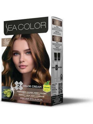 AKS Sea Color 6.7 Çikolata Kahve Set Boya