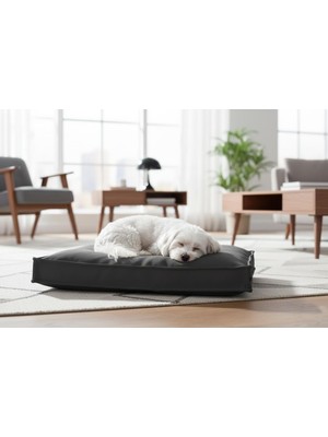 AKS Brt Pet Premium Kedi Köpek Yatağı - 50X70 Fermuarlı Yıkanabilir Minder, Gri