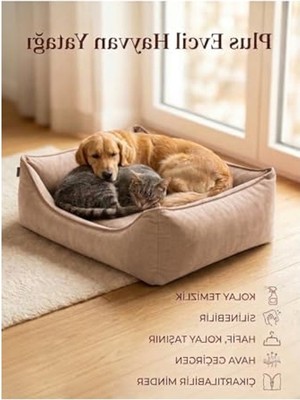 AKS Xl Silinebilir Kedi Köpek Yatağı, Koltuk Kumaşı ve Çıkartılabilir Minder