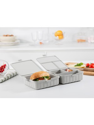 AKS Madame Coco Diurne Kare Lunch Box