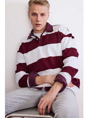 AKS Defacto Boxy Fit Polo Yaka Çizgili Sweatshirt G5091AX25WN