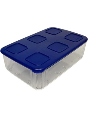 AKS Tupperware Clear Mates 1,6 L Clear & Fresh Kap Kapaklı – Dikdörtgen Şeffaf Mavi Koyu Mavi Hafif Istiflenebilir, Taze Tutmak Için, Taze Sistem, Sebze, Meyve Sosis Veya Peynir Için Kutu